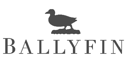 Ballyfin
